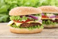 Cheeseburger hamburger fresh burger tomatoes cheese Royalty Free Stock Photo