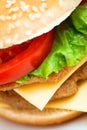 Cheeseburger hamburger macro close-up.
