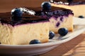 Cheesecak with blueberries and a cap of coffee Royalty Free Stock Photo
