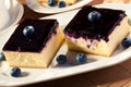 Cheesecake with blueberries and a cap of coffee Royalty Free Stock Photo