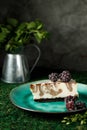 Cheesecake with chocolate flavor is on a plate with blackberries.