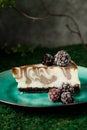 Cheesecake with chocolate flavor is on a plate with blackberries.