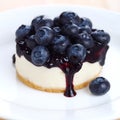 Cheesecake with fresh blueberries Royalty Free Stock Photo