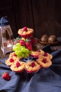 Cheesecake Muffins with raspberry Royalty Free Stock Photo