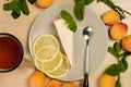 Cheesecake on a plate with a cup of tea is surrounded by herbs and apricots on a bright wooden table