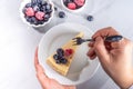 Cheesecake portion slice on plate Royalty Free Stock Photo