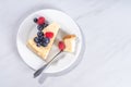 Cheesecake portion slice on plate Royalty Free Stock Photo
