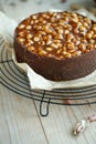 Cheesecake. Soft cottage cheese cake with nuts. Royalty Free Stock Photo