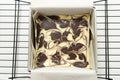 Cheesecake swirl brownie Royalty Free Stock Photo