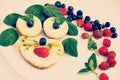 Cheesecakes as animal face with fresh berries, retro-insta effect