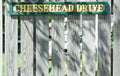 Cheesehead drive sign in Wisconsin