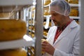 Cheesemaker checking ready product in a storage room Royalty Free Stock Photo