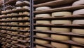 Allgau cheese maturing