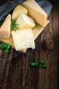 Cheeses with basil and rosemary. Royalty Free Stock Photo