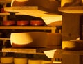 Cheeses different types Inside a cellar level awaiting fermentation process