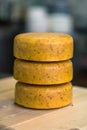 Cheeses with mold in latex in production in dairy, Royalty Free Stock Photo