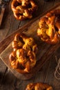 Cheesy German Soft Pretzels Royalty Free Stock Photo