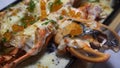 Cheesy lobster claw with Salmon roe fusion seafood Royalty Free Stock Photo
