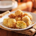 Cheesy panko crusted potato bites Royalty Free Stock Photo