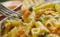 Cheesy Tex Mex Chicken Penne