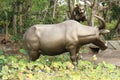 A cheetah attacks a water buffalo. Puma jumps on a water buffalo. Animal sculptures in the grounds of GWK Park, Bali Royalty Free Stock Photo