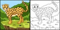 Cheetah Coloring Page Vector Illustration Royalty Free Stock Photo