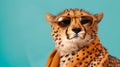 Generative AI, Sleek Cheetah in Sunglasses: A Stylish Encounter