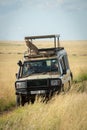 Cheetah cub sits on safari truck roof