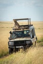 Cheetah cub sits staring from truck roof