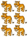 Cheetah with different emotions