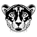 Cheetah face vector iilustration in hand drawn style