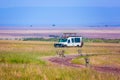 Cheetah family runs between tourist jeeps Royalty Free Stock Photo