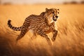 Cheetah fast running in field. Generative AI