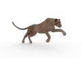 The running Cheetah, 3D Ilustration Royalty Free Stock Photo