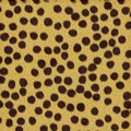 Cheetah Fur Royalty Free Stock Photo