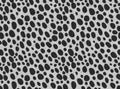 Cheetah Fur texture, carpet cheetah print skin background, black white and grey theme color, look smooth, fluffy and soft, fashion Royalty Free Stock Photo