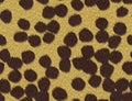 Cheetah fur texture Royalty Free Stock Photo