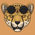 Cheetah head eyeglasses vector illustration