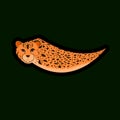 Icon cheetah color