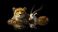 Cheetah and Impala A Study in Contrast with Reflection, Wildlife Portrait, Black Background Royalty Free Stock Photo
