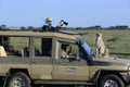 Cheetah jumps up on hood of safari vehicle in Africa