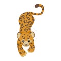 Cheetah or Leopard or jaguar cartoon character. Cute baby animal in flat style. Modern and trendy textile fashion style