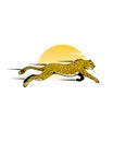 Cheetah logo , jaguar logo vector Royalty Free Stock Photo
