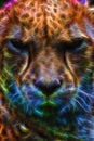 Cheetah Neon Special Effect Portrait
