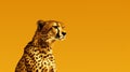 Minimalist Cheetah Art On Orange Background Royalty Free Stock Photo