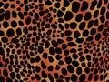 Cheetah print background