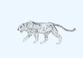 Cheetah prowling. Black line drawing Isolated on light gray background. Hand drawn illustration. Pencil sketch. Profile of African