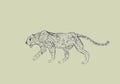 Cheetah prowling. Black line drawing Isolated on light green background. Hand drawn illustration. Pencil sketch.