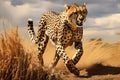 Cheetah Prowling For Prey In Savanna, Depicted Through Digital Art