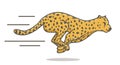 Cheetah Running Fast Vector Illustration